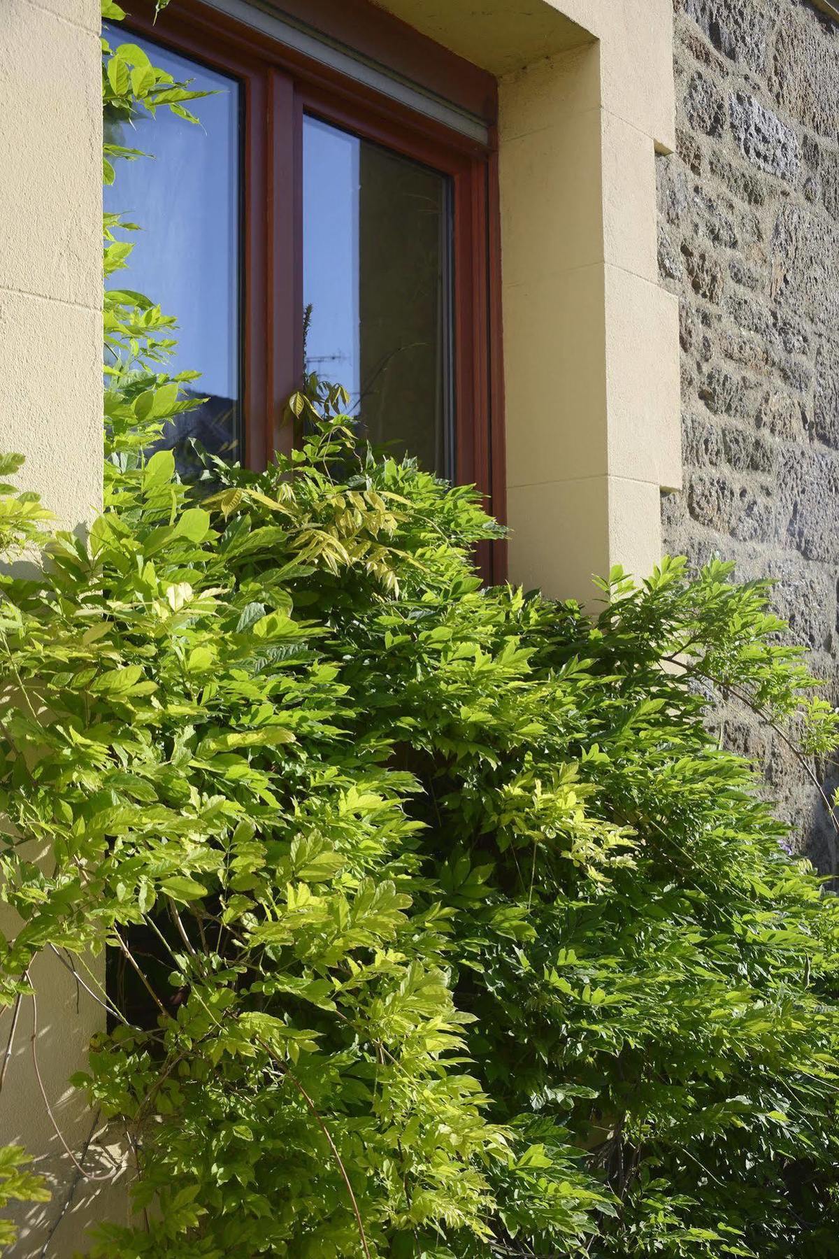 Hotel Les Charmettes Saint-Malo Zewnętrze zdjęcie
